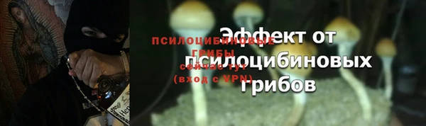 а пвп мука Протвино