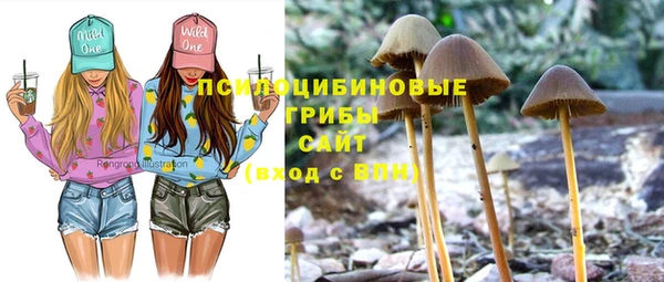 а пвп мука Протвино