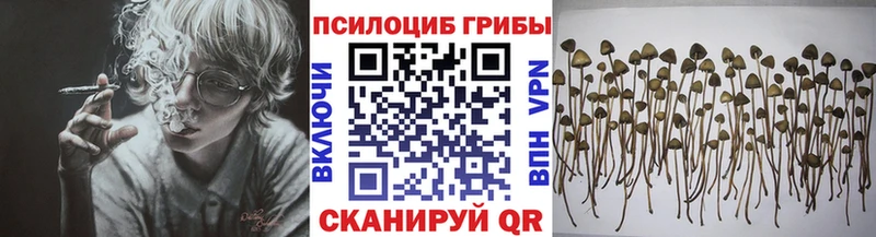 купить наркотик  Алдан  Галлюциногенные грибы мухоморы 